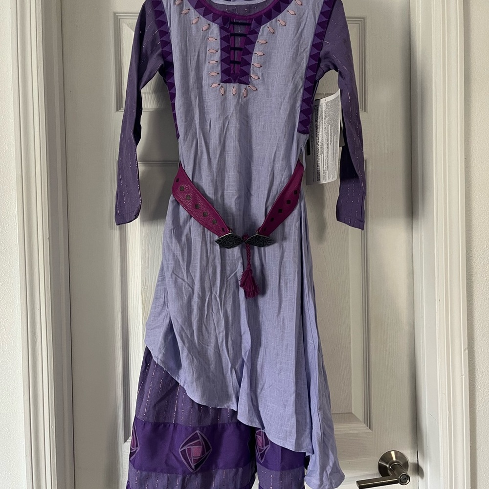 Disney wish Purple dress